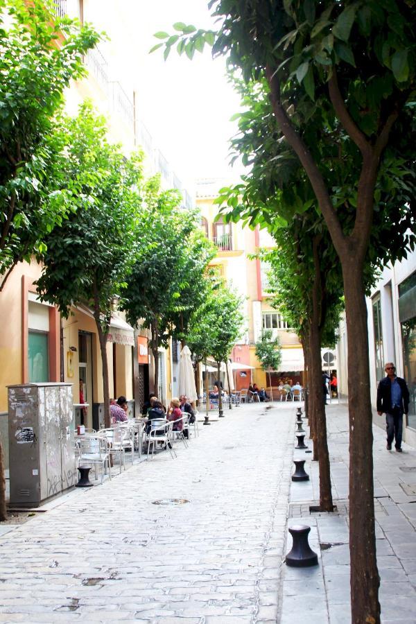 Апартаменты Plaza Nueva Terraza Севилья Экстерьер фото